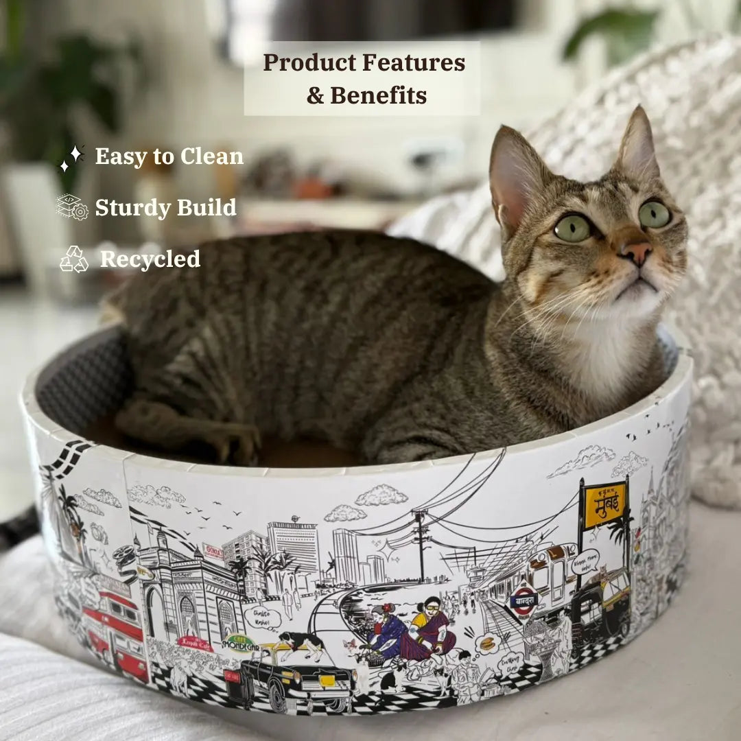 The Bella Bed - Mumbai Meri Jaan CoziKat{{Cat Scratch Bed}} {{Cat Furniture}}