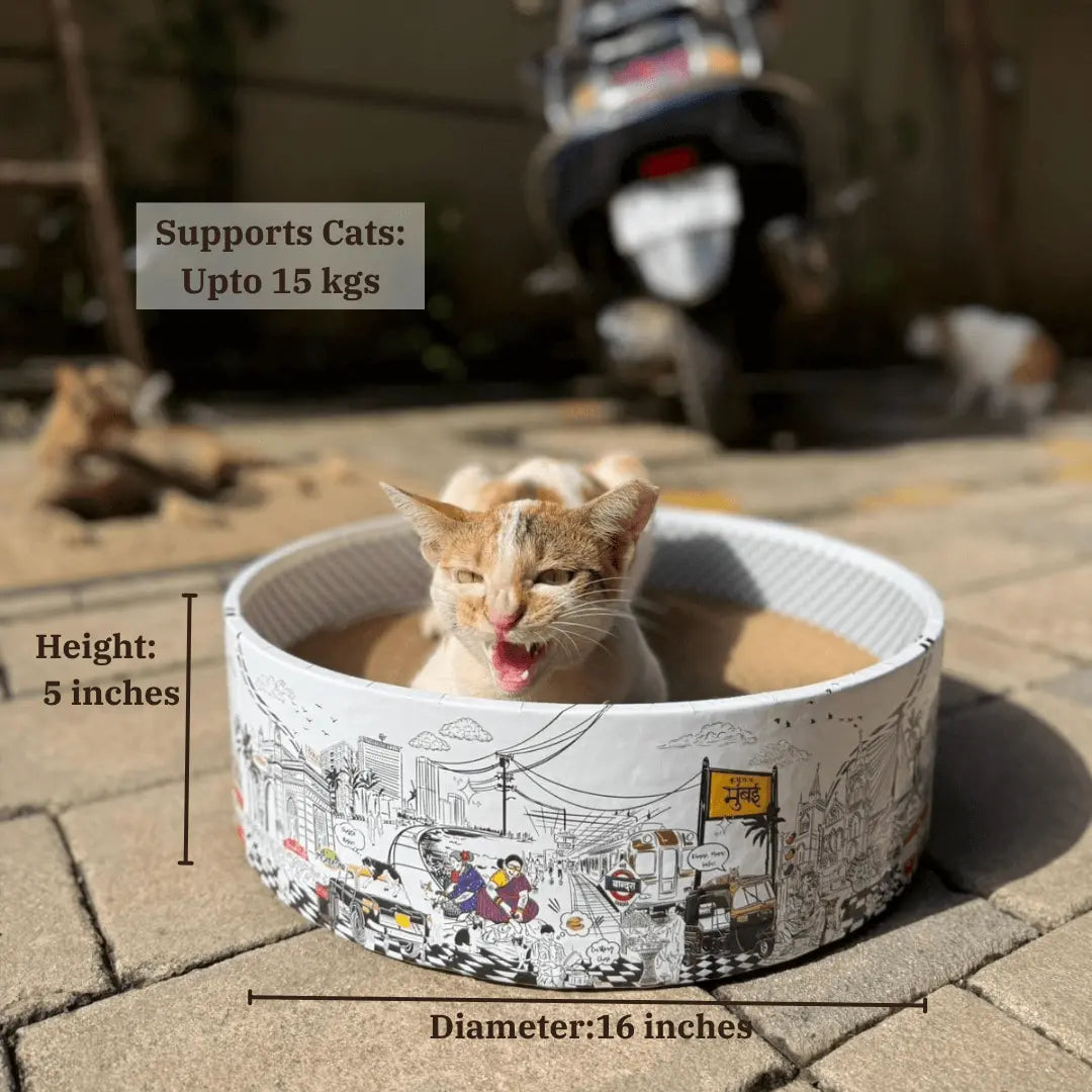The Bella Bed - Mumbai Meri Jaan CoziKat{{Cat Scratch Bed}} {{Cat Furniture}}