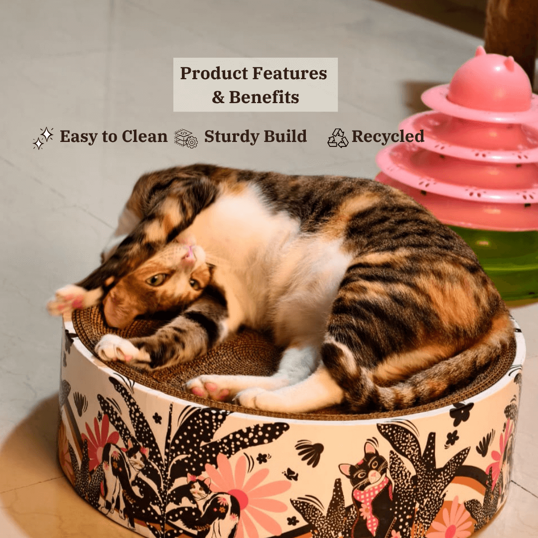 The Luna Lounger - Groovy Cats