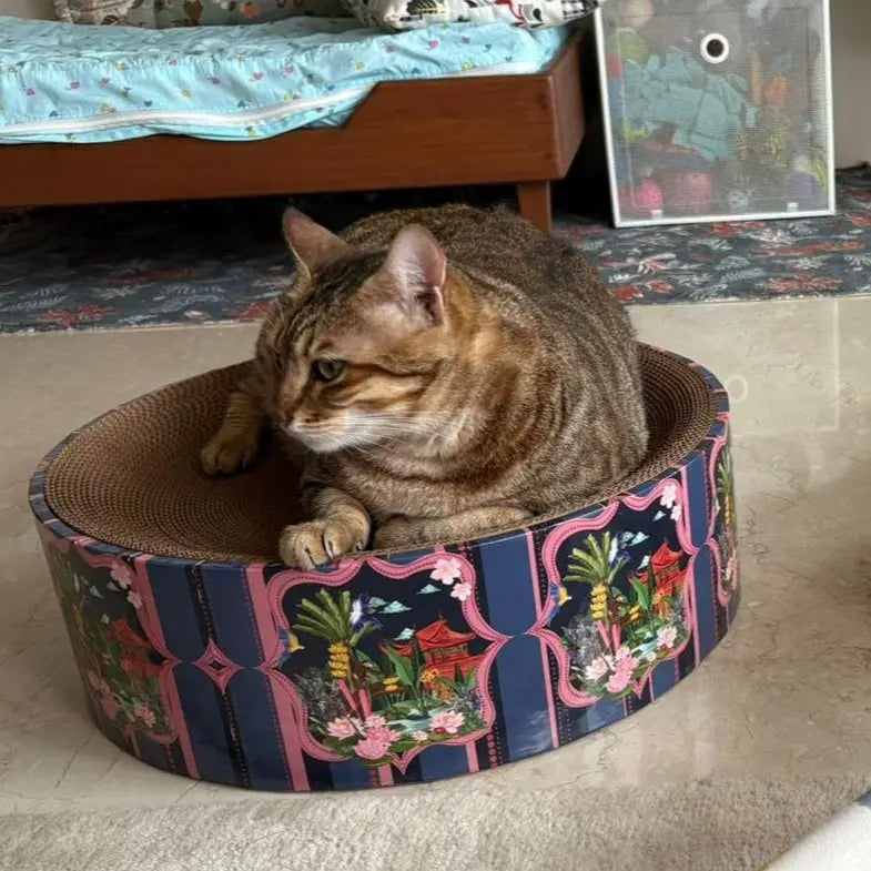 Cat sitting on a decorative cat bed in a room with a bed and rug.