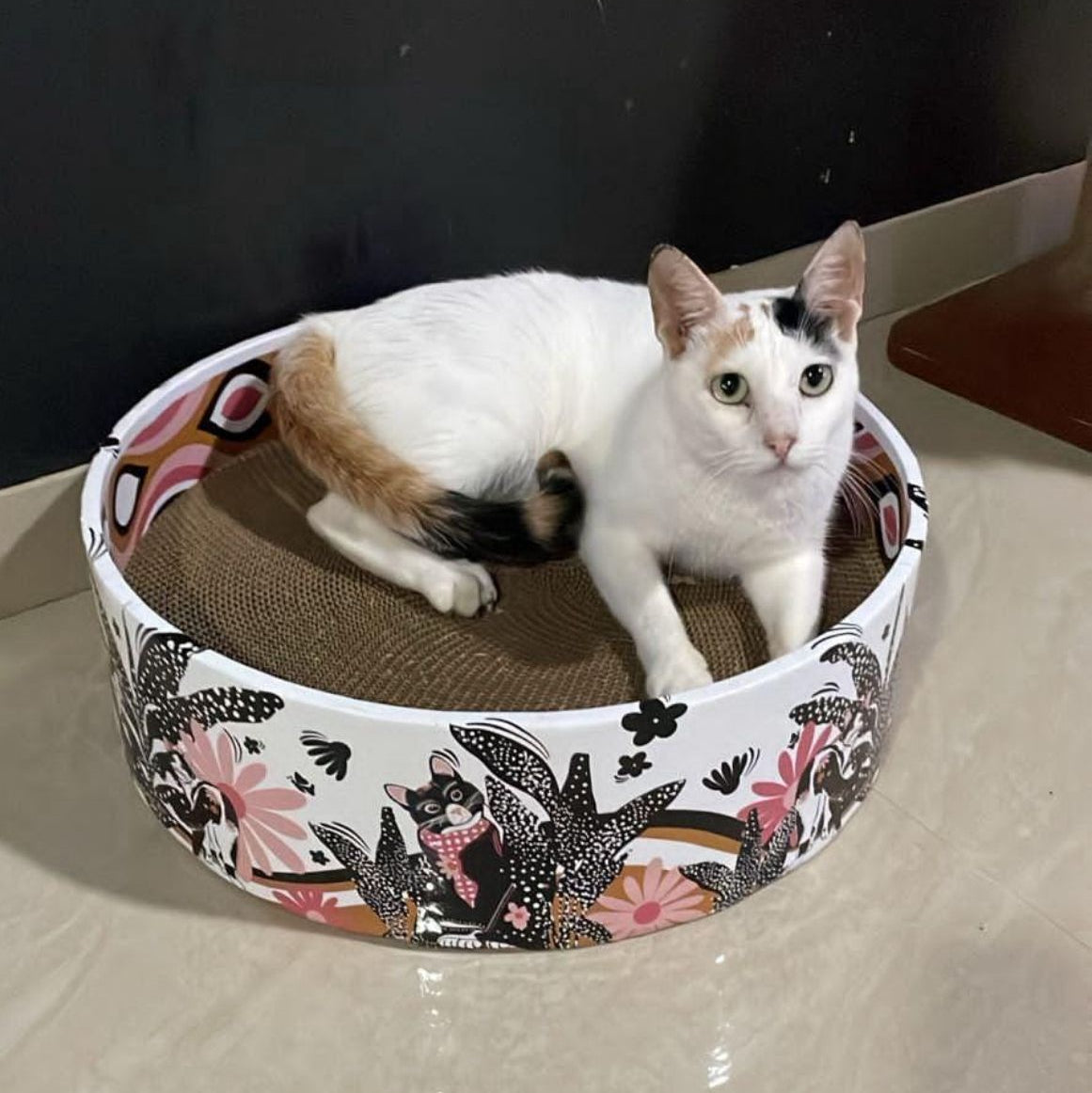 Cat sitting on a floral-patterned cat bed with a dark background