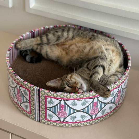 Cat sleeping in a patterned pet bed on a windowsill