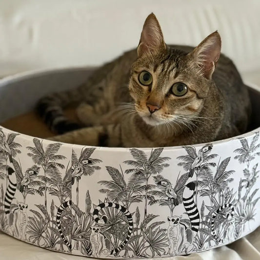 Cat lying in a decorative bowl with a jungle pattern