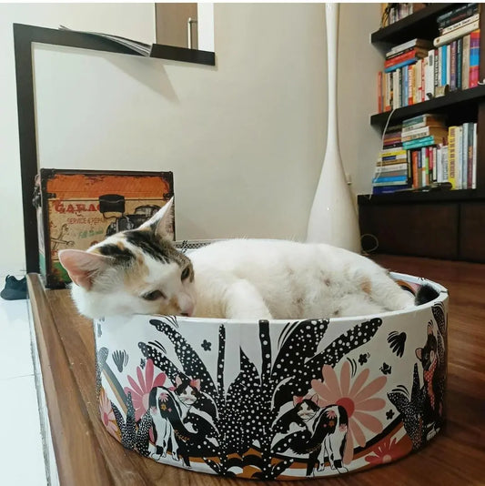 Cat lying in a patterned cat bed on a wooden surface with books and decor in the background