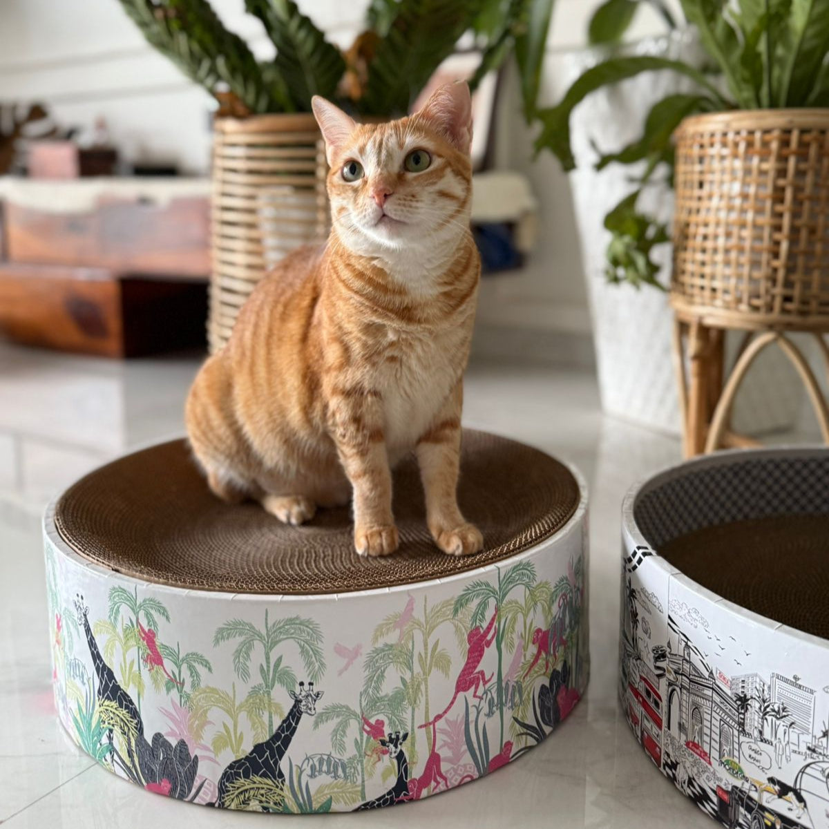 Cat sitting on a patterned cat tree with plants in the background