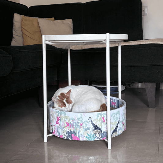 Sustainable Chic: Style Your Home with Eco-Friendly Cat Furniture in India