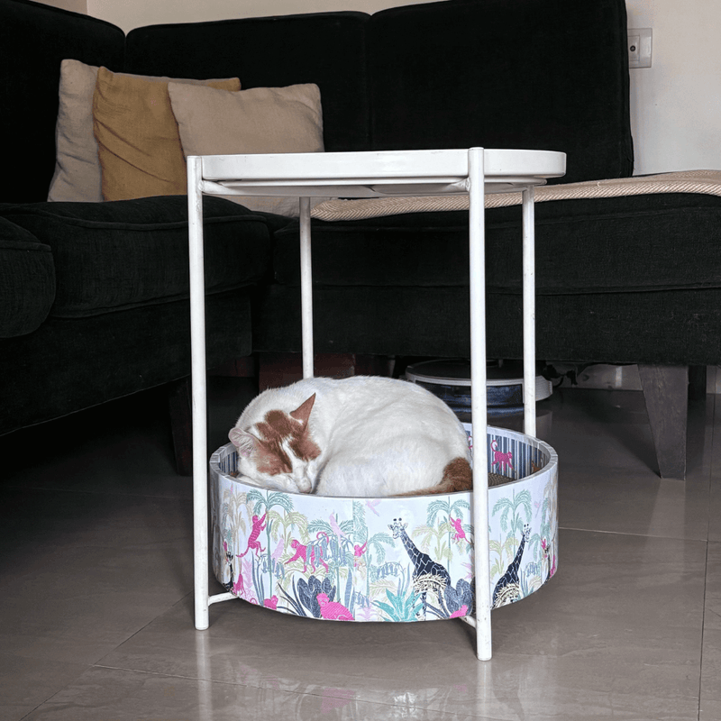 Sustainable Chic: Style Your Home with Eco-Friendly Cat Furniture in India