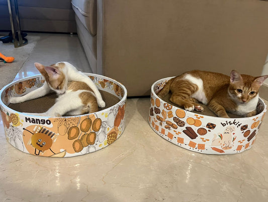 MANGO: Angel of the Month