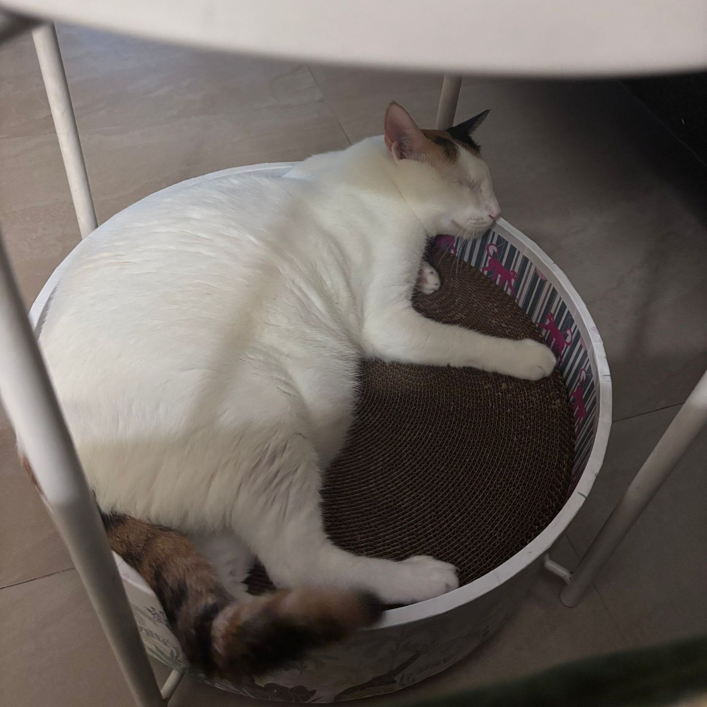 The Bella Bed - Lost in the Jungle