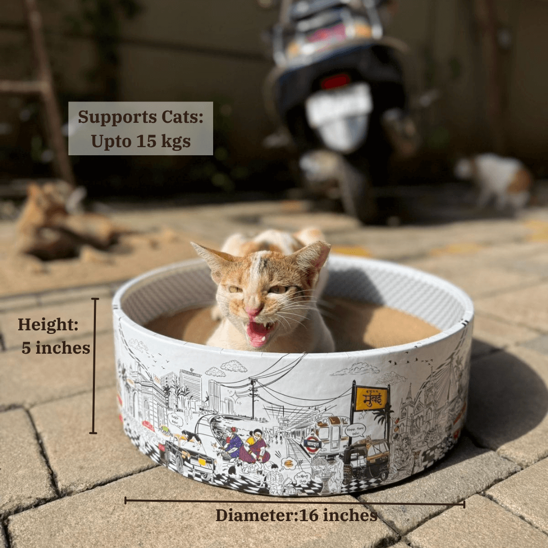 The Bella Bed - Mumbai Meri Jaan