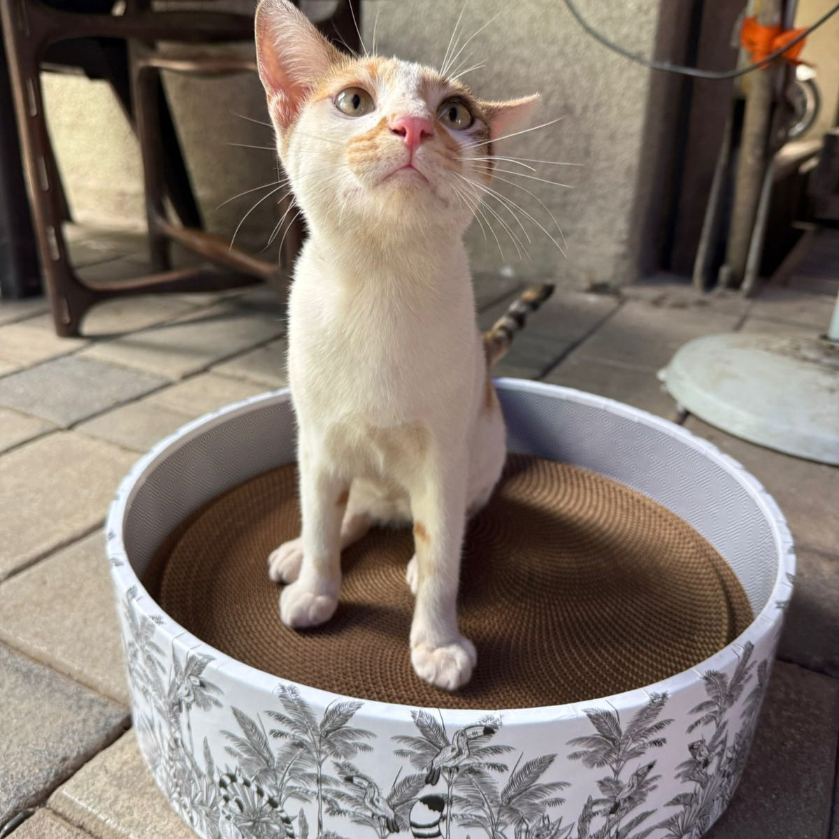 The Bella Bed - Madagascar