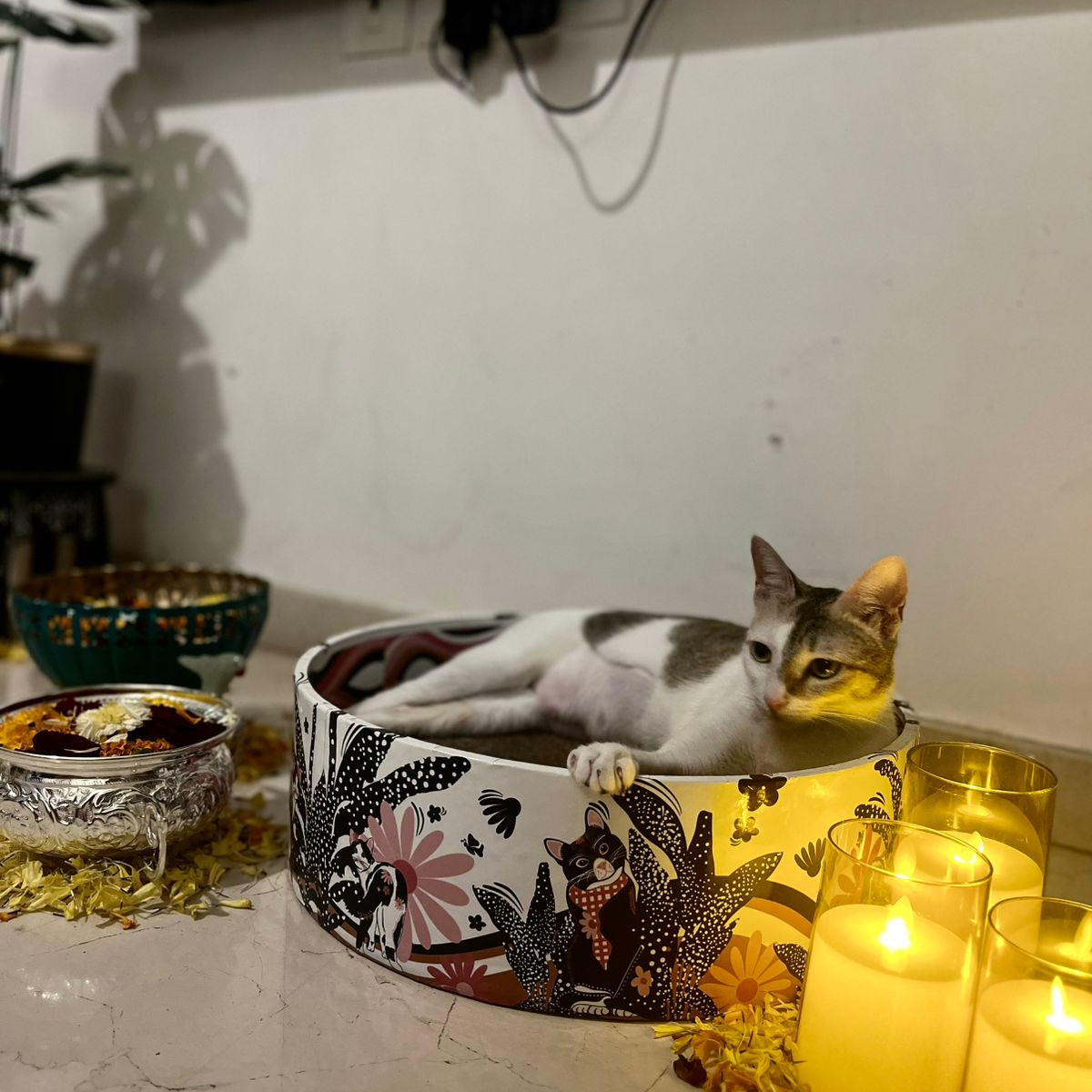 The Bella Bed - Groovy Cats