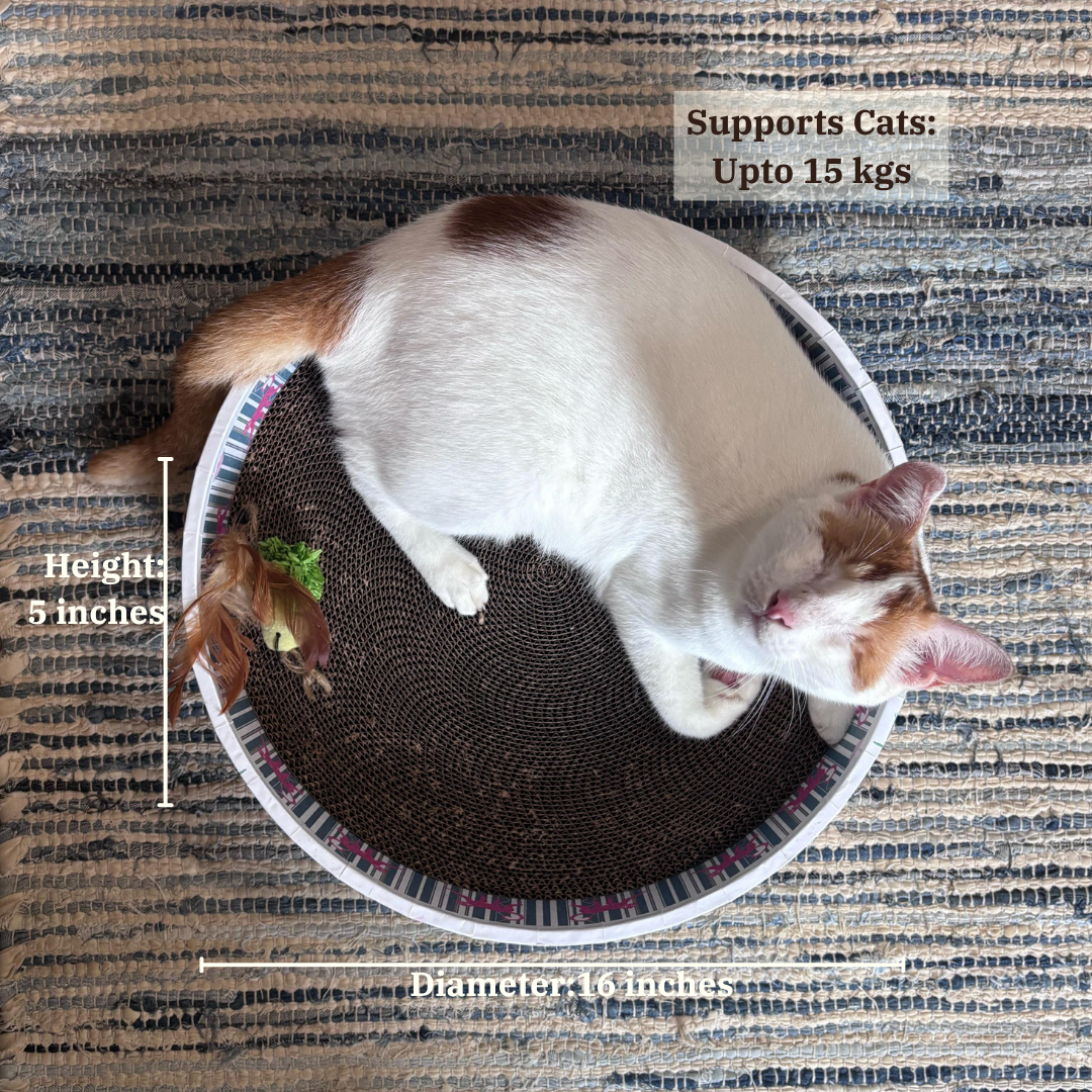 The Bella Bed - Lost in the Jungle