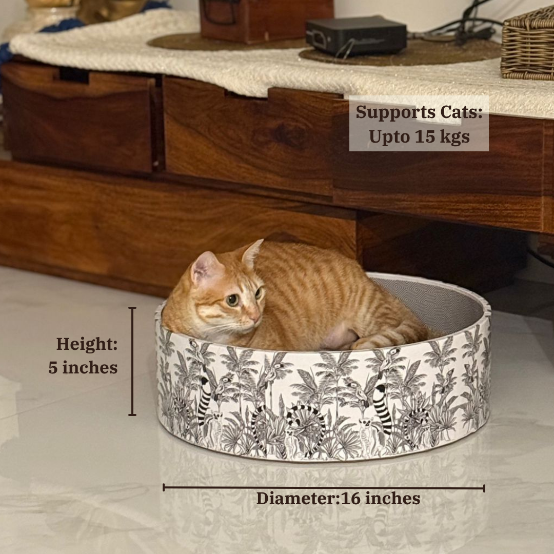 The Bella Bed - Madagascar