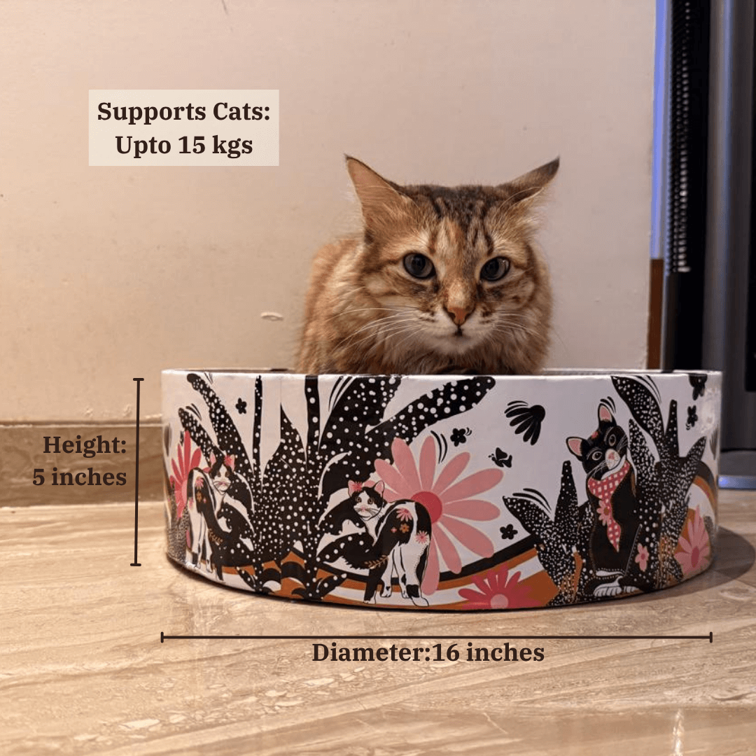 The Luna Lounger - Groovy Cats