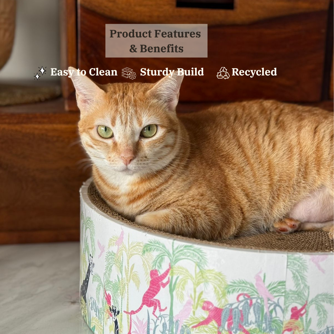 The Luna Lounger - Lost in the Jungle