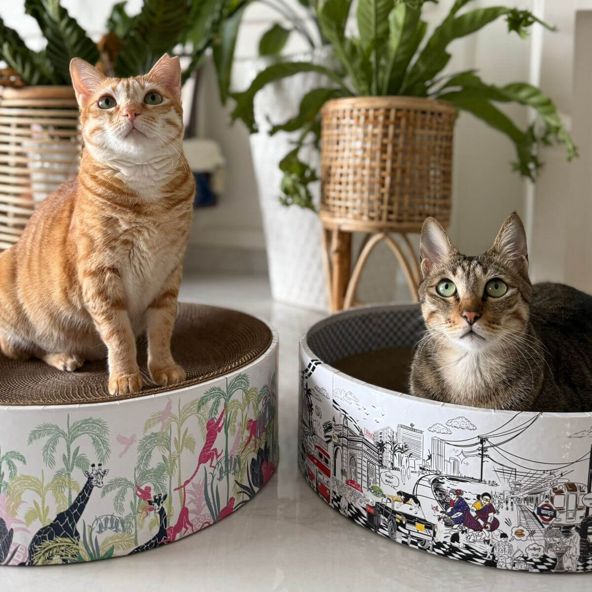 The Bella Bed - Mumbai Meri Jaan