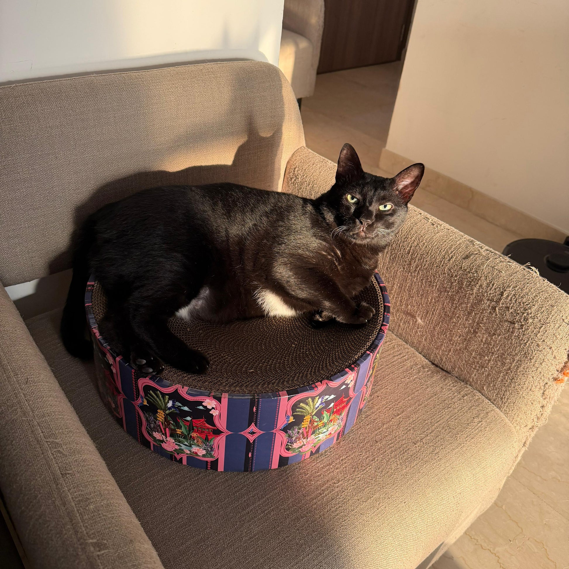 The Luna Lounger - Floral Art CoziKat{{Cat Scratch Bed}} {{Cat Furniture}}