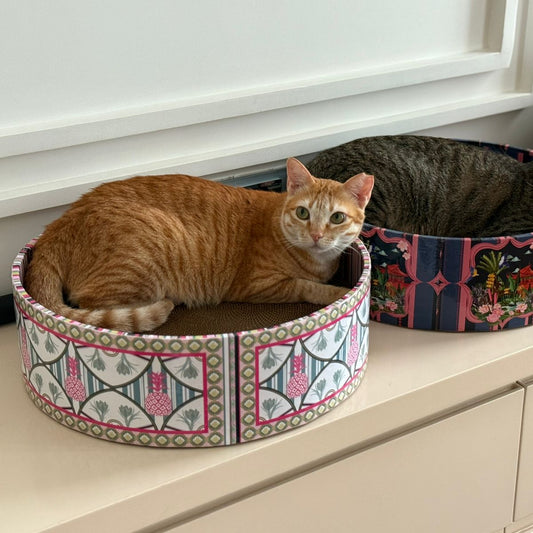 Two cats in patterned cat beds on a shelf