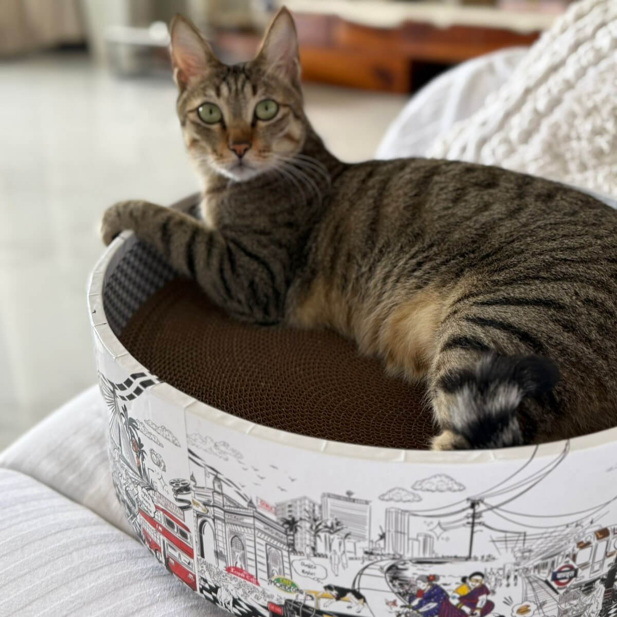 The Bella Bed - Mumbai Meri Jaan