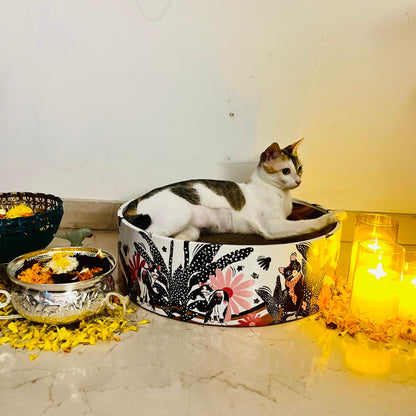 cat-scratcher-ecofriendly