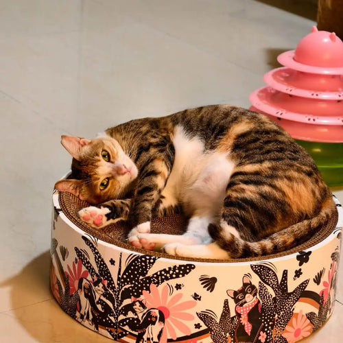 The Luna Lounger - Groovy Cats CoziKat{{Cat Scratch Bed}} {{Cat Furniture}}