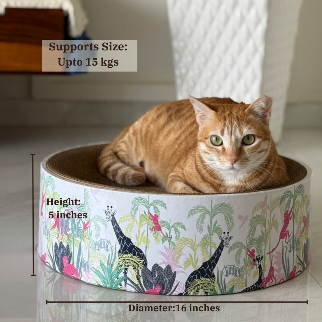 cat-scratcher-lifestyle-product