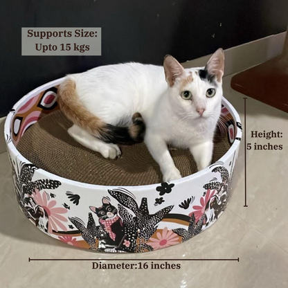 cat-scratcher-recycled