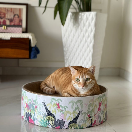 Cat lying on a colorful pet bed with a home interior background