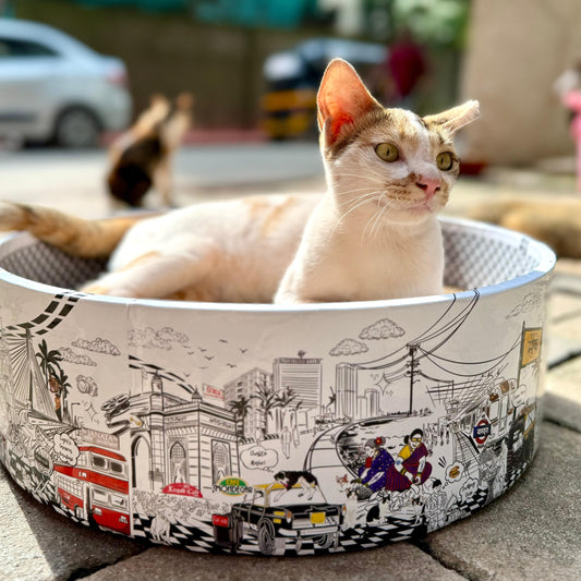 Cat lying in a patterned cat bed with a cityscape design outdoors.
