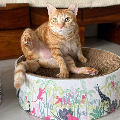 Cat sitting on a colorful cat bed in a room with furniture.