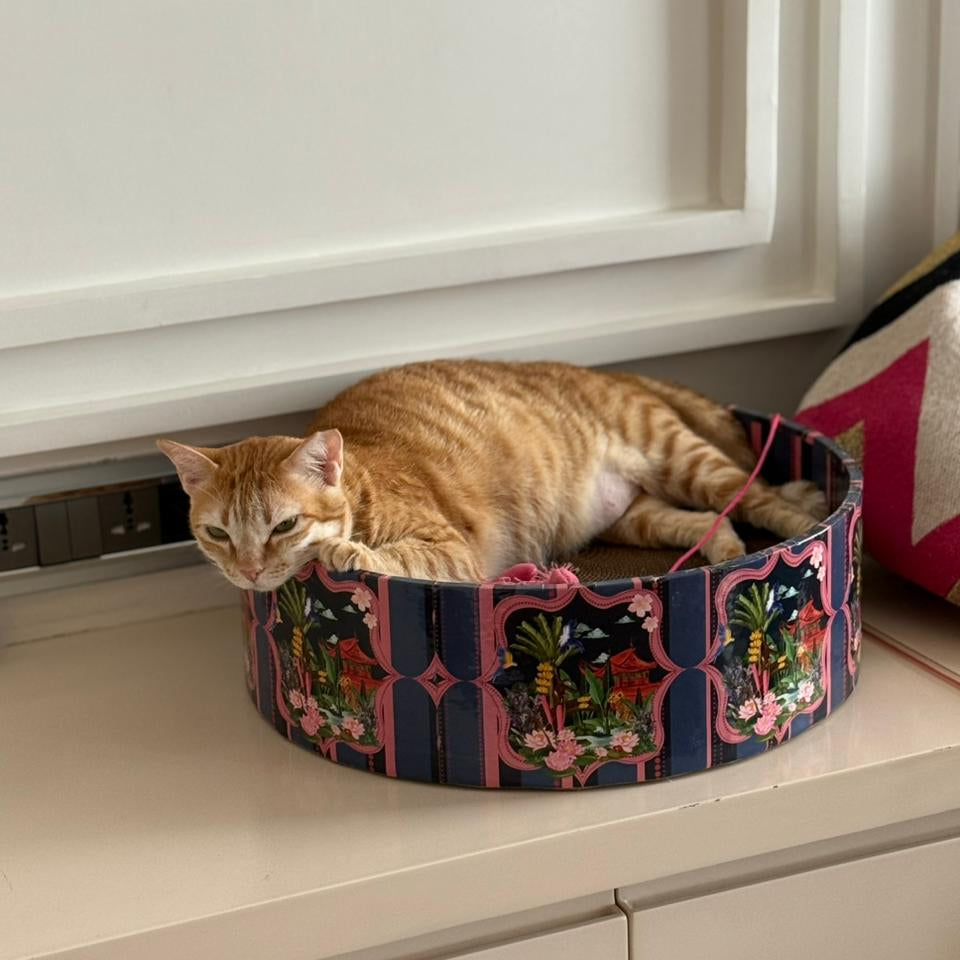 Cat lying on a decorative cat bed under a cabinet