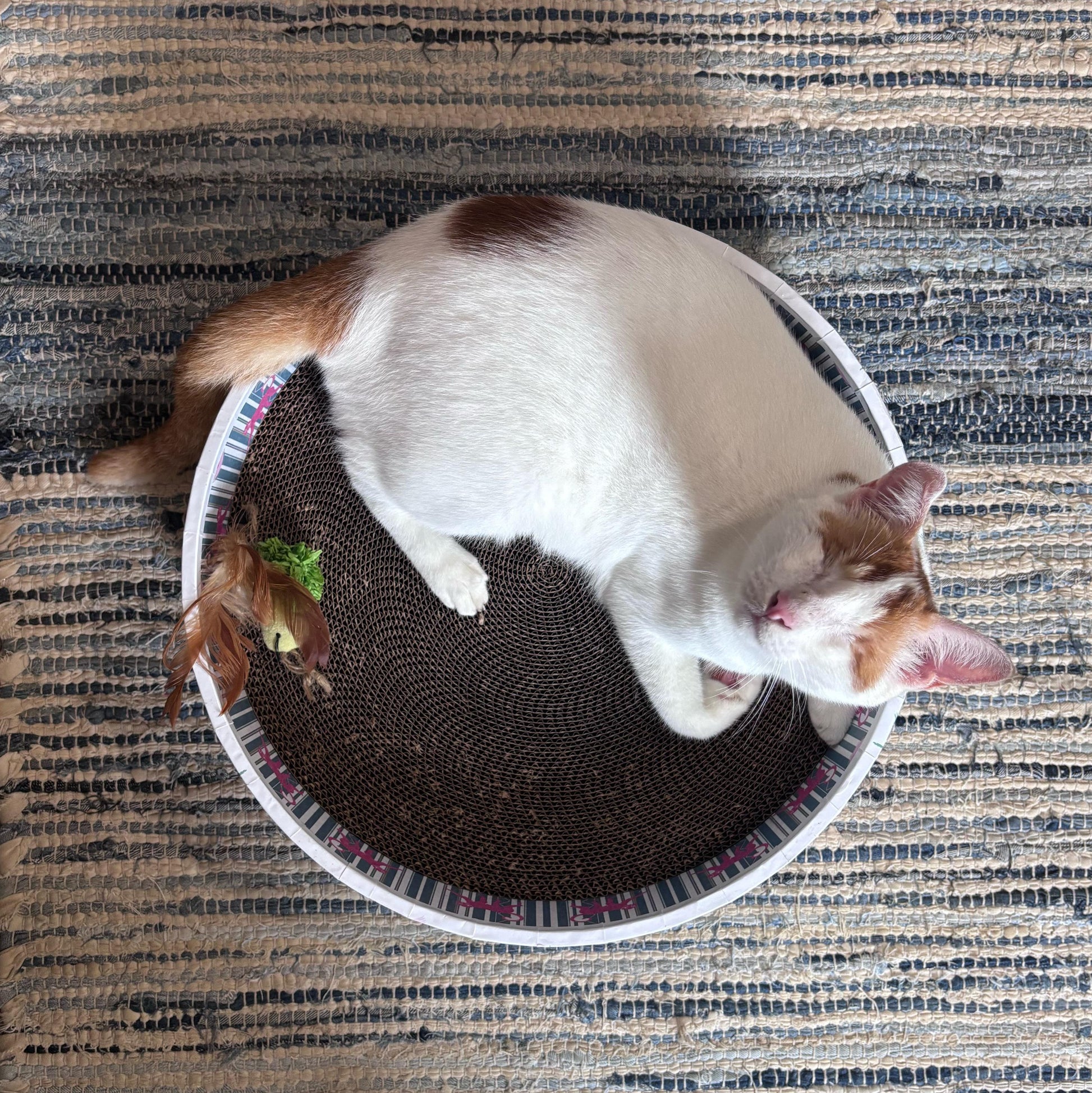 A cat lying on a round cat scratcher  with a textured surface underneath