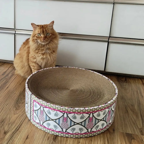 Cat sitting next to a patterned cat bed on a wooden floor with white cabinets in the background.
