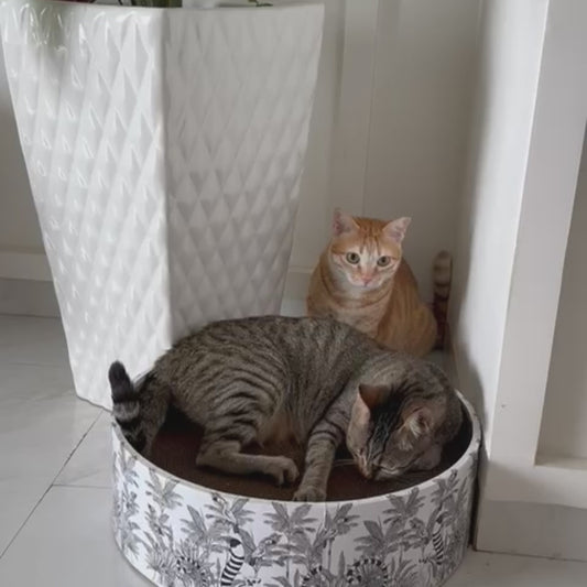 The Bella Bed - Madagascar