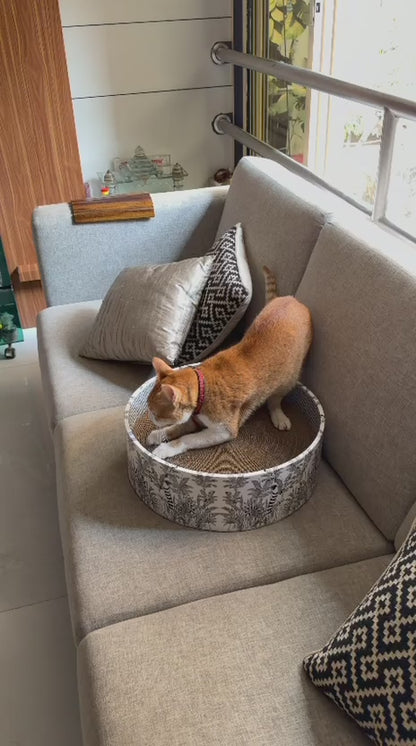 The Bella Scratch Bed - Madagascar