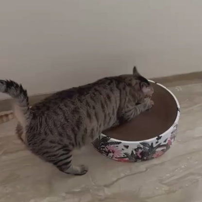 The Luna Lounger - Groovy Cats