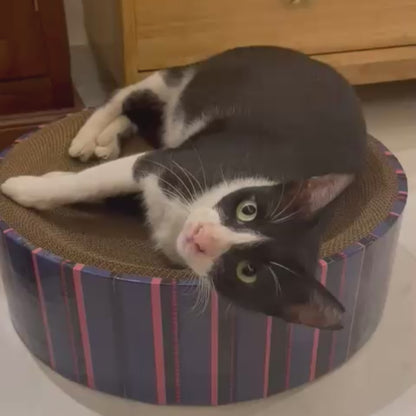 The Luna Lounger - Dash & Dot