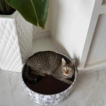 Cat lying on a round cat bed with a plant and white cabinet in the background