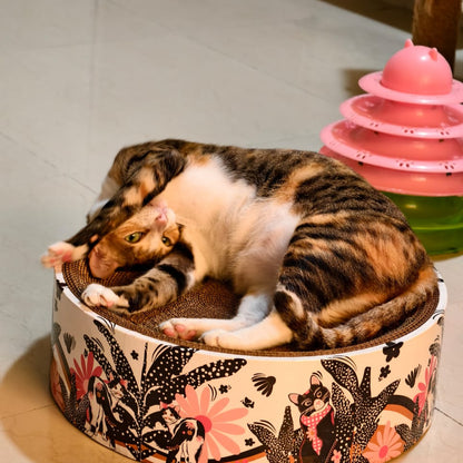 Two cats playing on a round floral-patterned cat bed with a pink toy in the background.