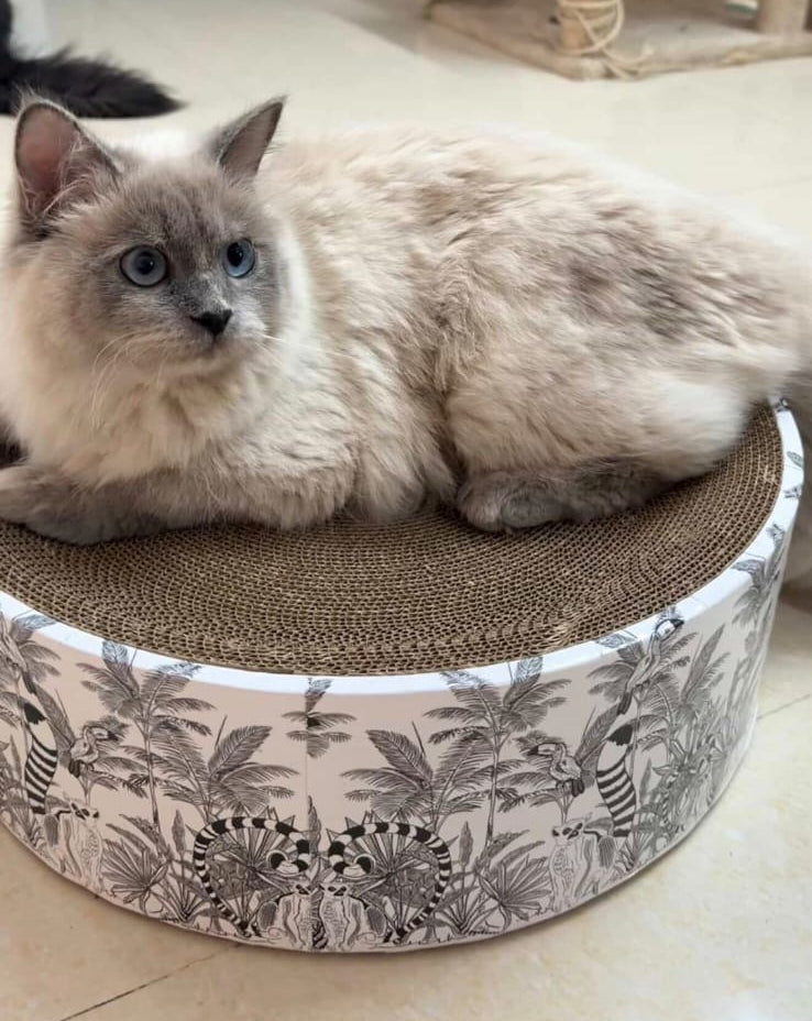 The Luna Lounger - Madagascar CoziKat{{Cat Scratch Bed}} {{Cat Furniture}}