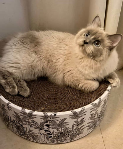 The Luna Lounger - Madagascar CoziKat{{Cat Scratch Bed}} {{Cat Furniture}}